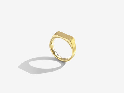 Dual Texture Signet Ring | Gold