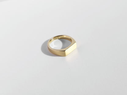 Dual Texture Signet Ring | Gold