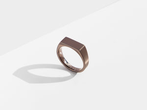 Dual Texture Signet Ring | Bronze